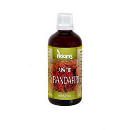 Apa de trandafiri, 100 ml, Adams Vision