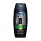 GENERA Regenerierendes Shampoo &amp; Duschgel 300 ml - 2812145