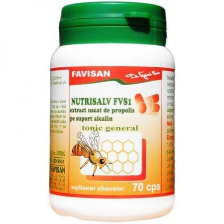 Nutrisalv FVS1, 70 Kapseln, Favisan