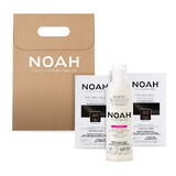 Set 2+1 Color & Protect  Saten inchis  3.0, Noah 530 ml