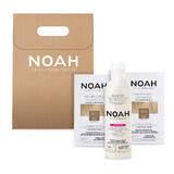 Set 2+1 Color & Protect Blond deschis 8.0, Noah, 530 ml