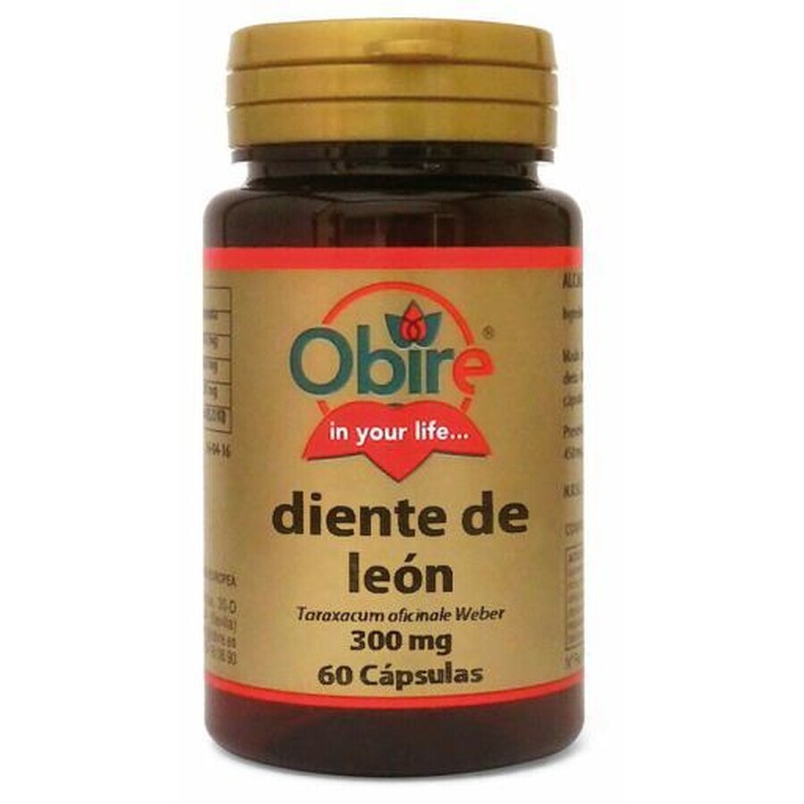 Dienleon 300 mg, 60 capsule, Obire