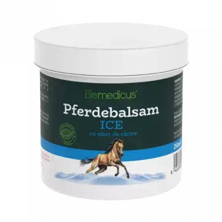 Pferdekraft Balsam mit kühlender Wirkung Pferdebalsam, 250 ml, Biomedicus