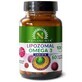 Lipozomal Vegan Omega 3, 60 capsule, Hypernatura