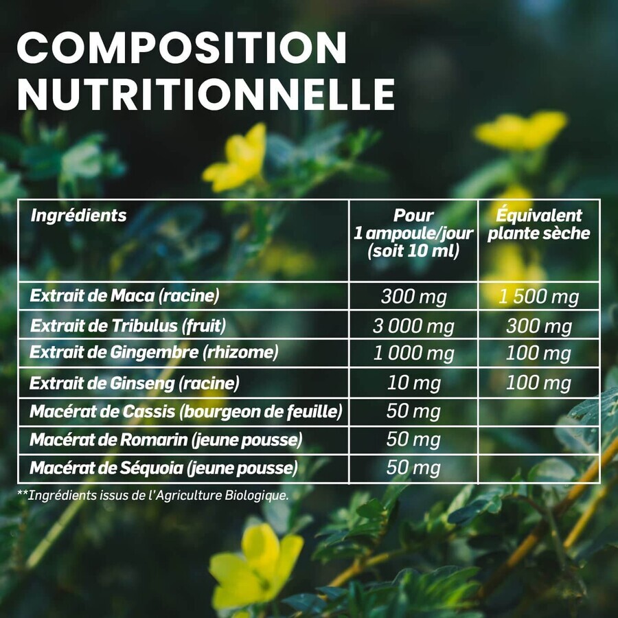 Maca 1500 Tribulus, 20 fiole, Santarome