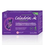 Celadrin Extract Forte, 60 Kapseln + ColaFast Collagen Rapid, 30 Kapseln, Good Days Therapy 