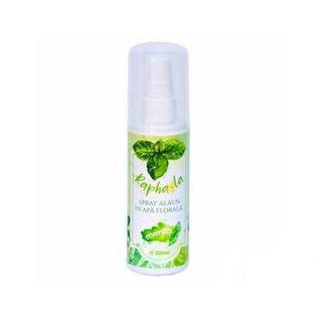 Elchspray in Minzblütenwasser, 100ml, Divine Star