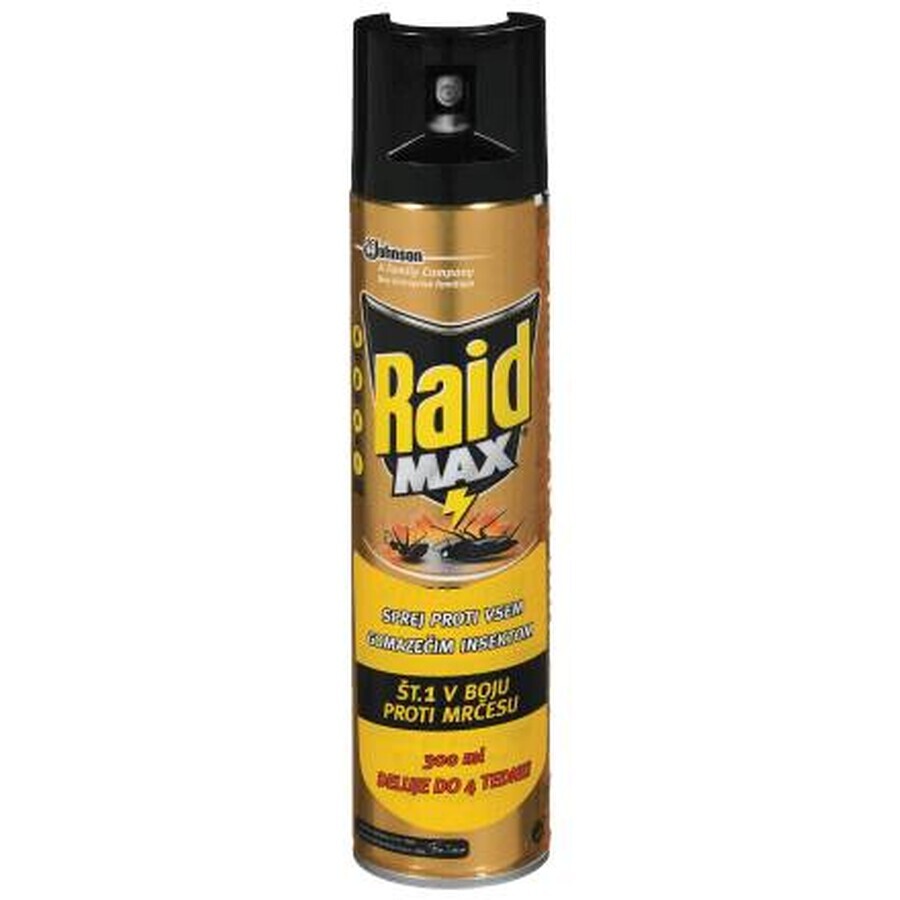 Raid Kakerlaken-Spray, 300 ml