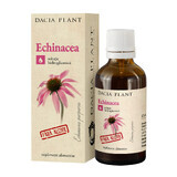 Echinacea ohne Alkohol, 50 ml, Dacia Plant