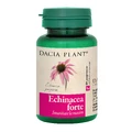 Echinacea forte, 60 Tabletten, Dacia Plant