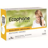 Ecophane, 60 comprimate, Biorga