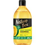 Nature Box Shampoo für fettige Kopfhaut mit Melone, 385 ml