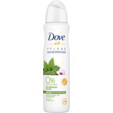 Dove Deodorant spray cu flori de cireș, 150 ml