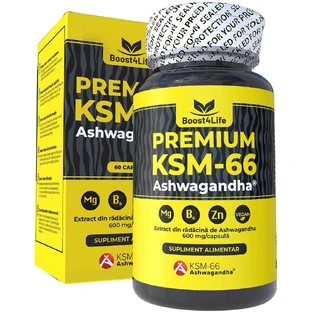 Ashwagandha KSM-66 Premium, 60 pflanzliche Kapseln, Boost4Life