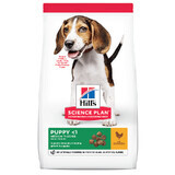 Hrana cu pui pentru caini Puppy Medium Bread (604267), 2,5 Kg, Hill's SP