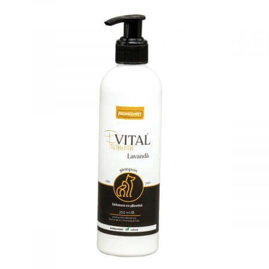 Premium-Vital Lavendel Shampoo, 250 ml, Promedivet