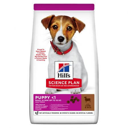 Hrana cu miel si orez pentru caini Puppy Small & Mini, 300 g, Hill's SP