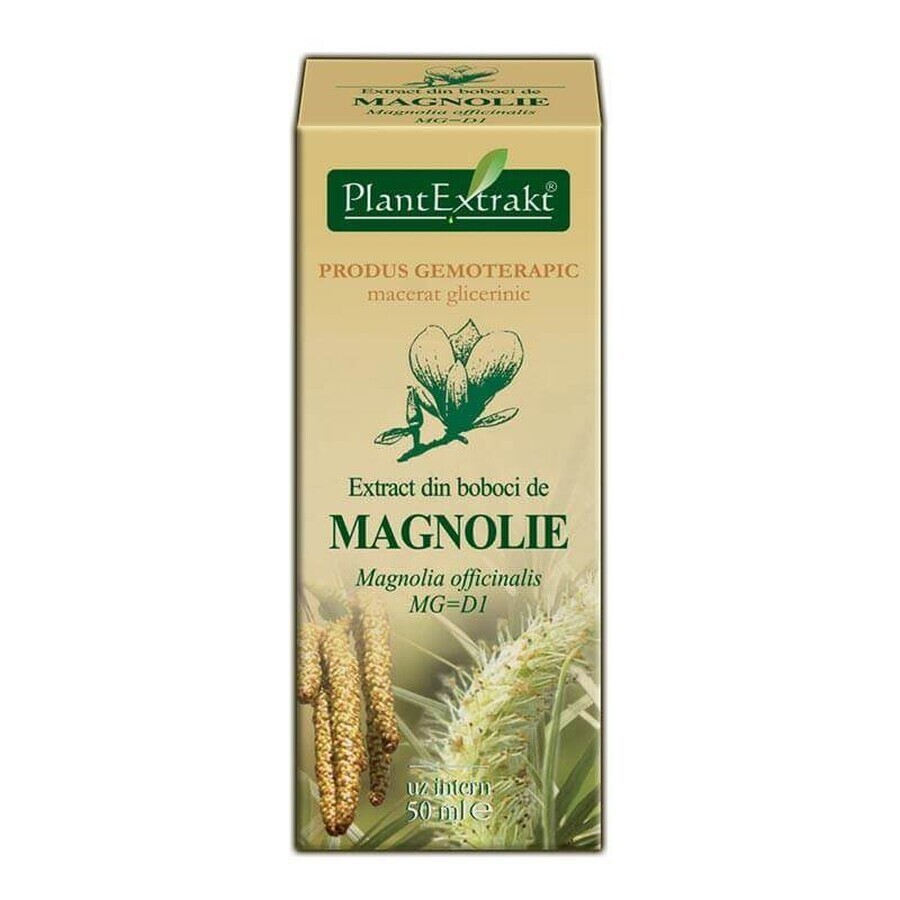 Magnolienknospen-Extrakt, 50 ml, Pflanzenextrakt