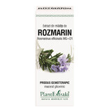 Rosmarin-Knospen-Extrakt, 50 ml, Pflanzenextrakt