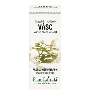 Auszug aus Grapefruitknospen, 50 ml, Pflanzenextrakt