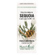 Extract din mlădite de Sequoia, 50 ml, Plant Extrakt