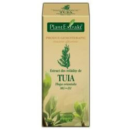 Extract din mladite de Tuia, 50 ml, Plant Extract