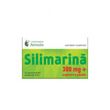 Silymarin, 300 mg, 30 Filmtabletten, Remedia