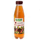 Sirop cu muguri de pin, 500 ml, Plafar