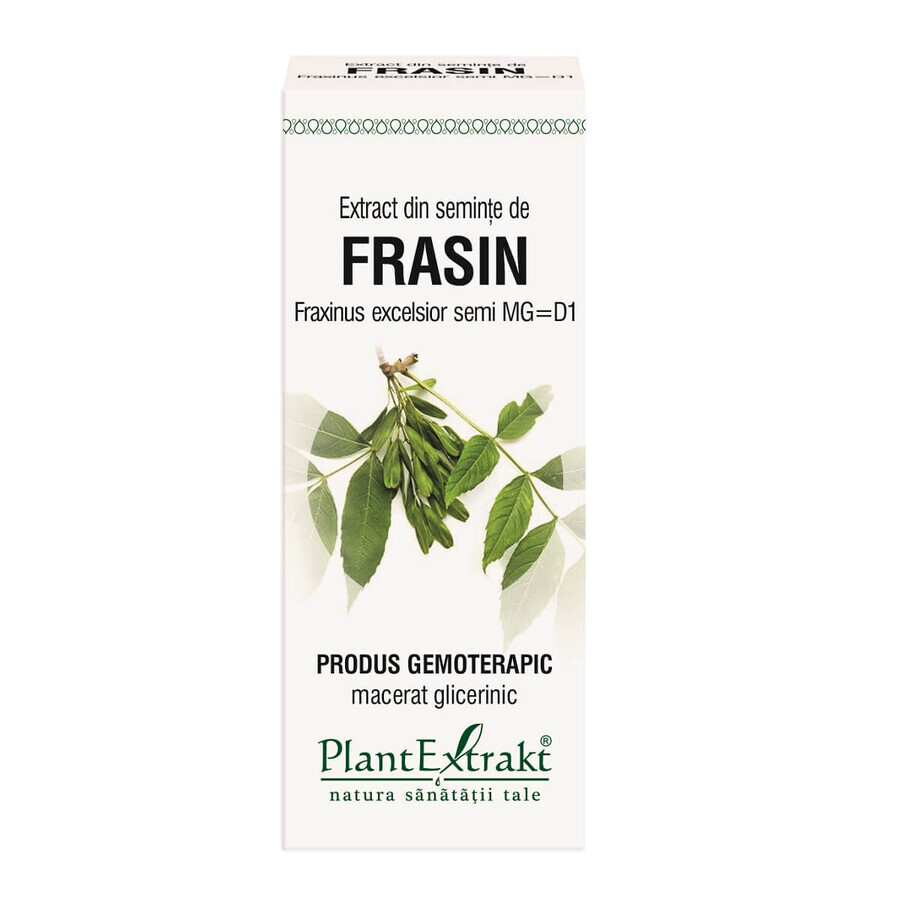 Frasin-Samenextrakt, 50 ml, Pflanzenextrakt
