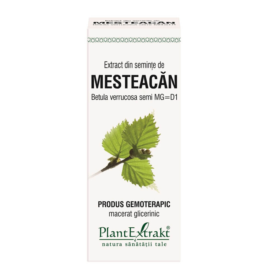 Extract din seminte de Mesteacan, 50 ml, Plant Extrakt