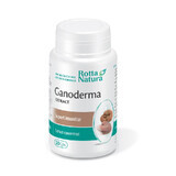 Ganoderma-Extrakt, 30 Kapseln, Rotta Natura