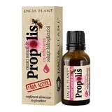 Natural propolis extract with echinacea with dropper, 20 ml, Dacia Plant