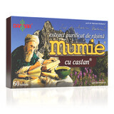 Gereinigter Mumie-Harz-Extrakt mit Kastanie, 60 Tabletten, Damar General Trading
