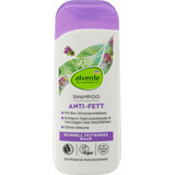 Alverde Naturkosmetik Shampoo für fettiges Haar, 200 ml