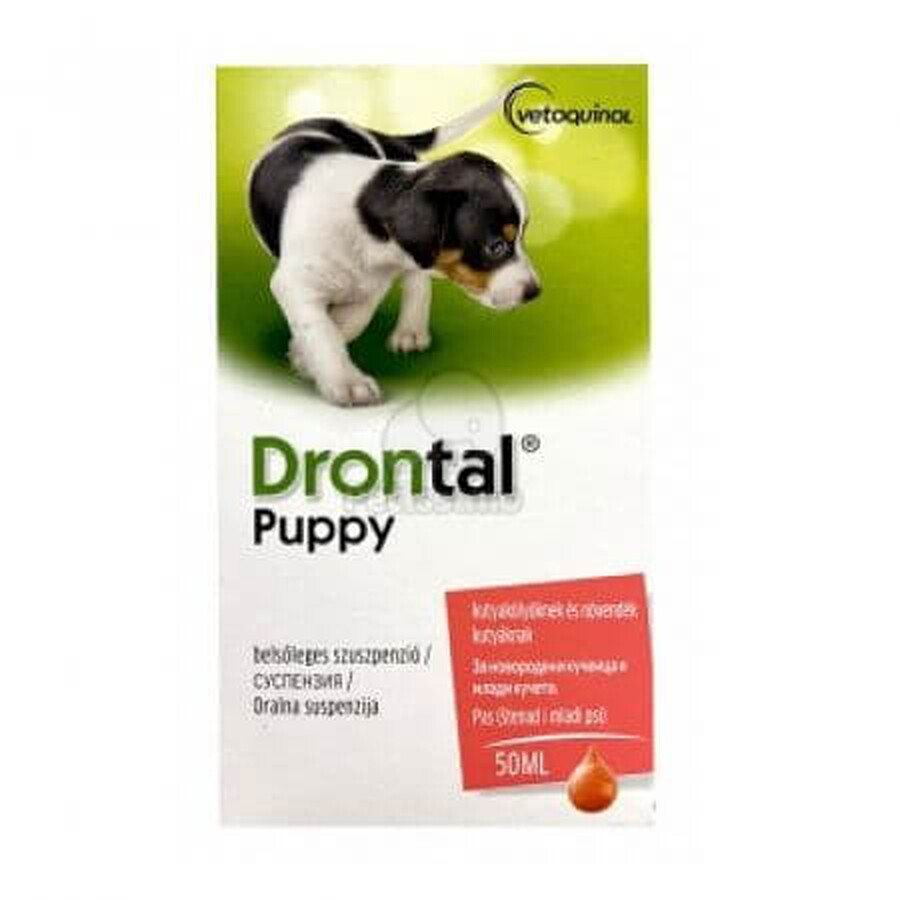 Antiparazitar intern pentru catei Drontal Puppy, 50 ml, Bayer Vet