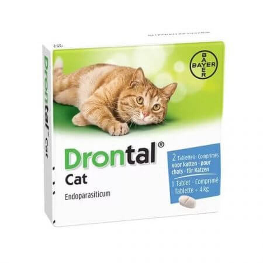 Antiparazitar intern pentru pisici Drontal Cat, 2 tablete, Bayer Vet 