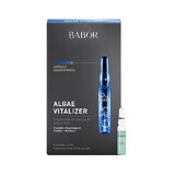 Fiole CP Babor Algae Vitalizer 24x2ml