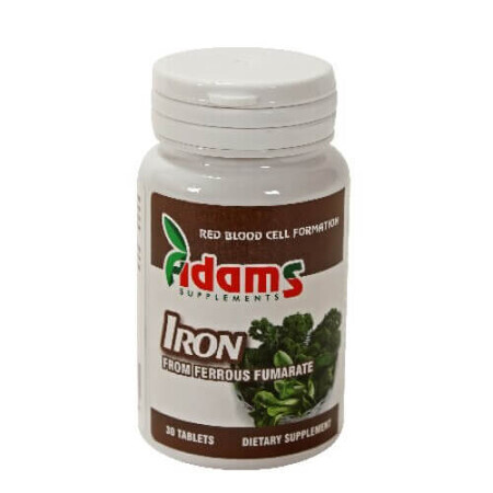 Eisen 14mg, 30 Tabletten, Adams Vision