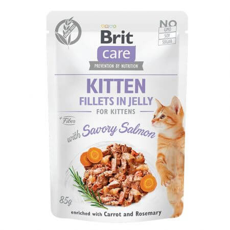 Katzennassfutter mit Lachs für Katzen Brit Care Cat Pouch Kitten, 85 g, Brit