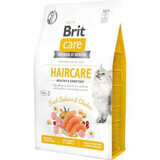 Brit Care GF Healthy &amp; Shiny Coat Trockenfutter für Katzen mit Lachs und Huhn, 2 kg, Brit