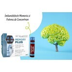 Memory Plus cu Ginkgo Biloba + Fosfatidilserină + Vitamina B1, B2, B3, B5, B6 – Produs Vegan – 20 Fiole, Marnys