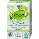 Alverde Naturkosmetik Șampon solid pentru strălucirea părului Pro Climate, 60 g