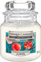 Yankee Candle Granatapfel-Kokosnuss-Duftkerze, 104 g