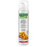 Fixativ Strong aerosol, 250 ml, Rausch