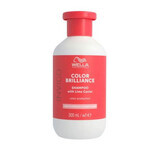Shampoo für feines und normales coloriertes Haar Invigo Color Brilliance Fine/Normal, 300 ml, Wella Professionals