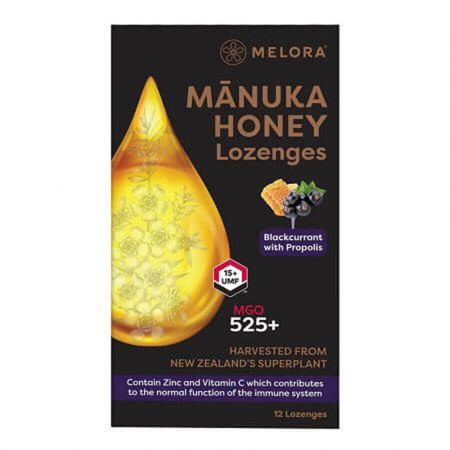 Manuka-Honigtropfen mit schwarzer Johannisbeere und Propolis, 12 Stück, Melora