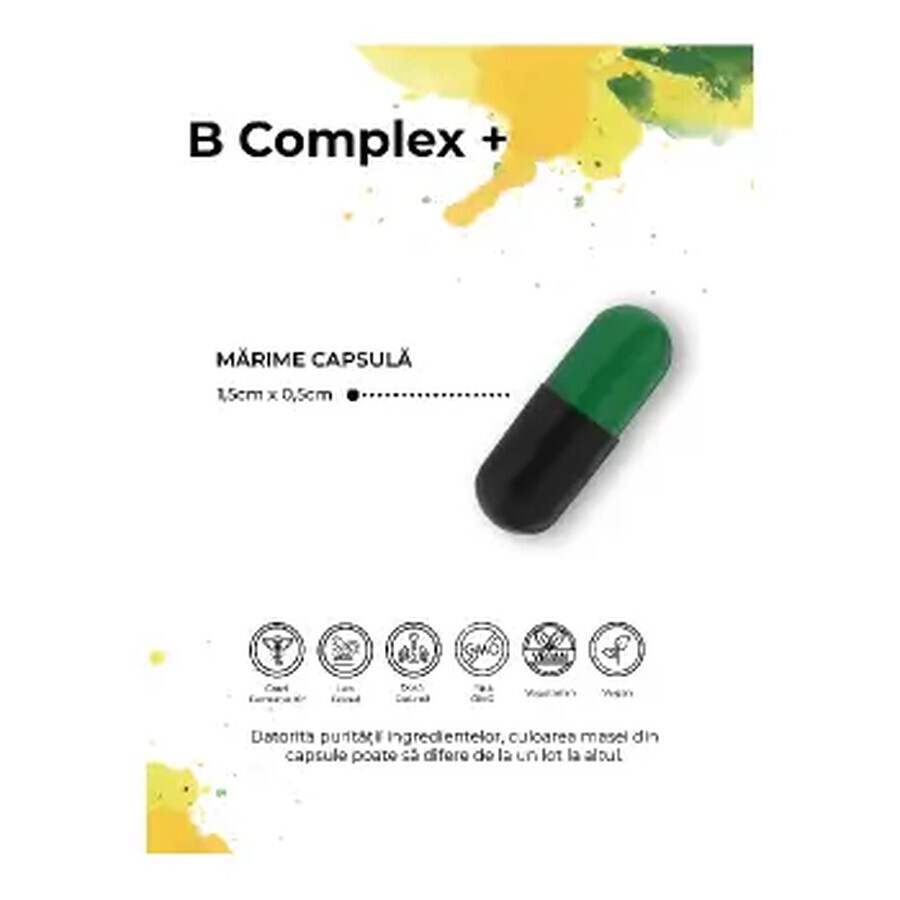 B Complex+, 30 capsule, Biome