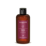 Vitality's Care&Style Volumen-Spülung 250ml