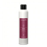 Vitality's Care&Style Volume Up Haarglätter 250ml