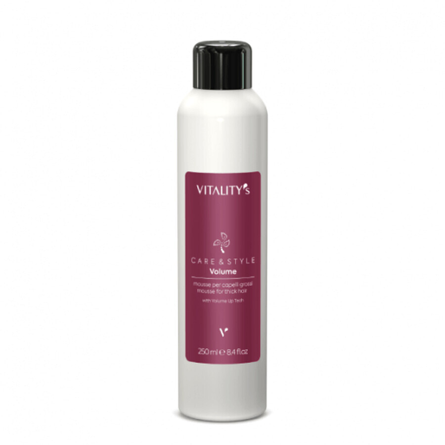 Vitality's Care&Style Volumen Schaumfestiger für dickes Haar 250ml